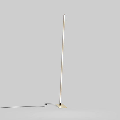 Torch LED Floor Lamp in Detail.