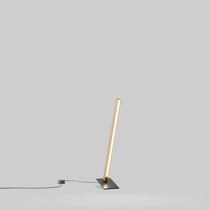 Torch LED Table Lamp in Detail.