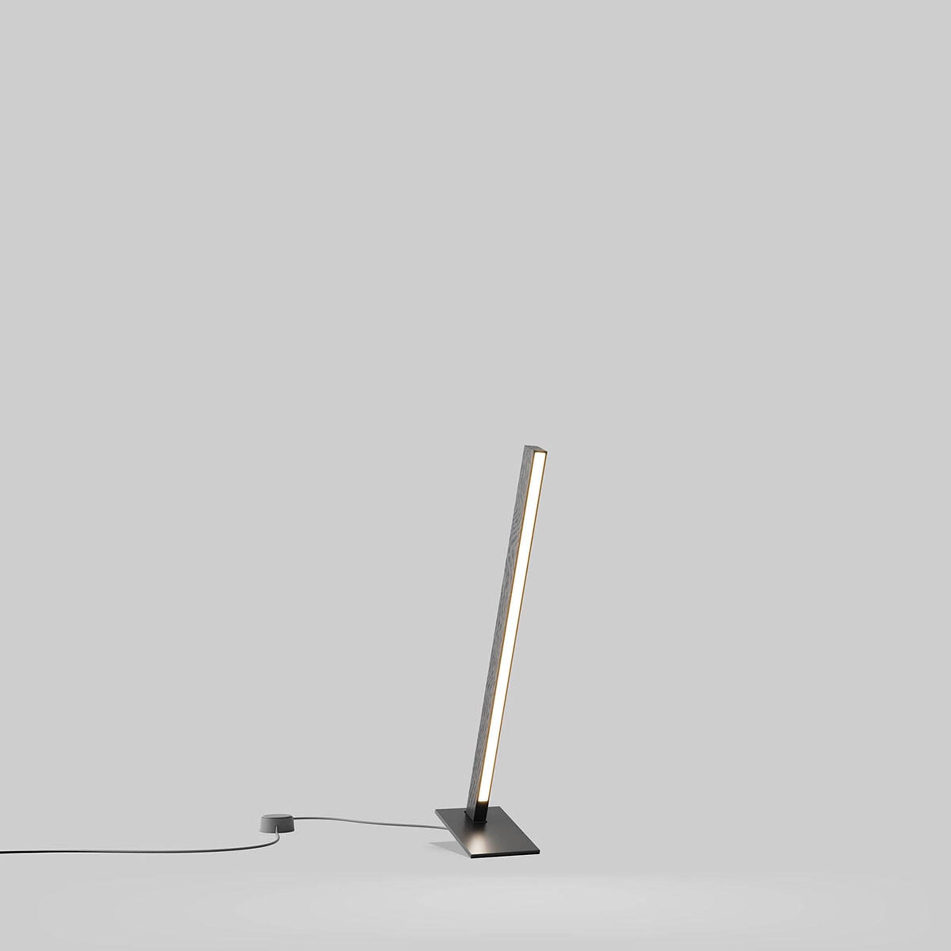 Torch LED Table Lamp in Detail.