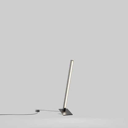 Torch LED Table Lamp in Detail.