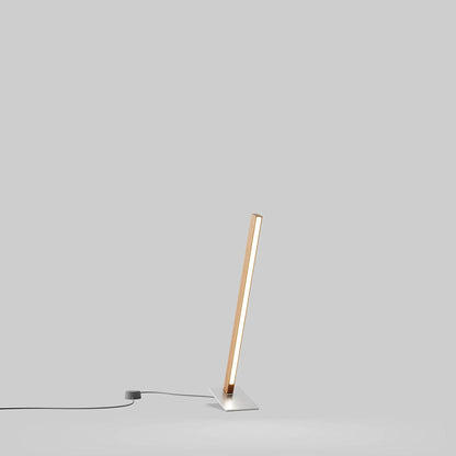 Torch LED Table Lamp in Detail.