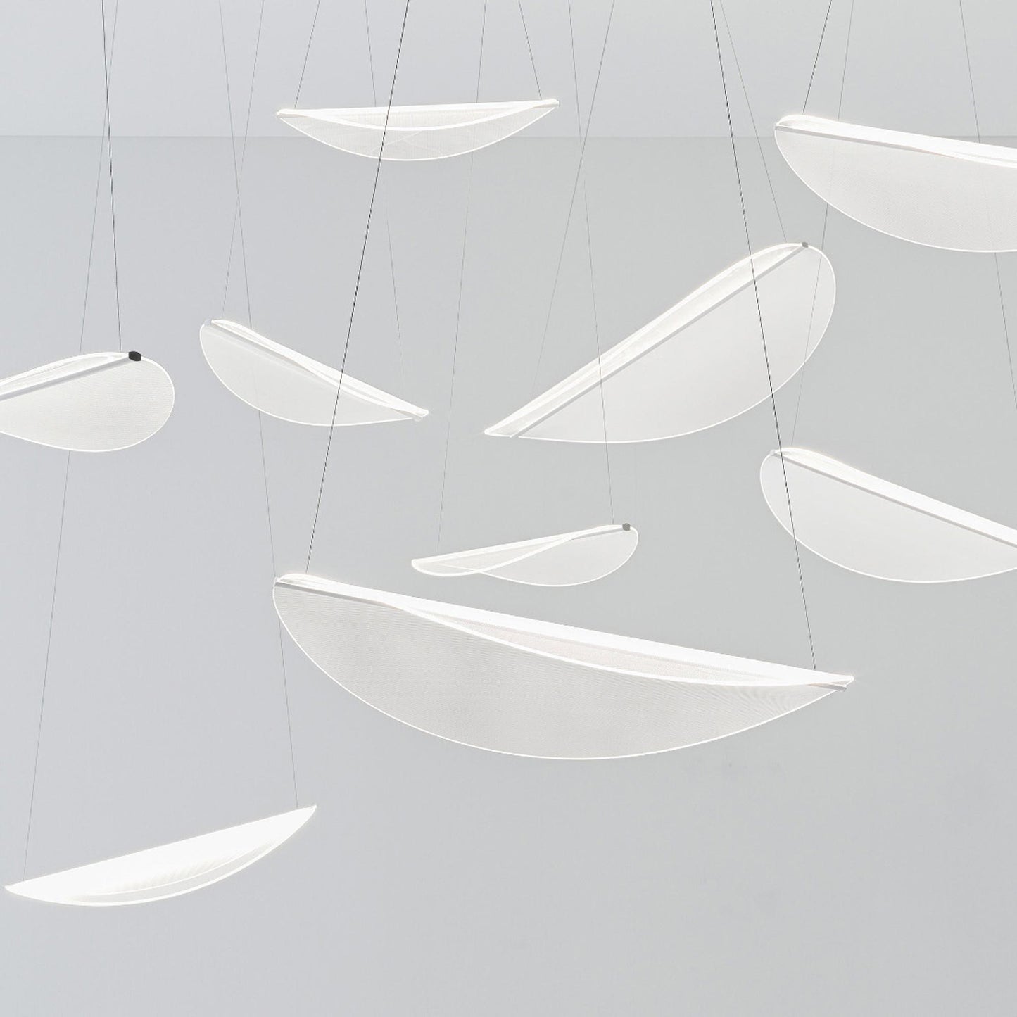 Diphy LED Pendant Light in Detail.