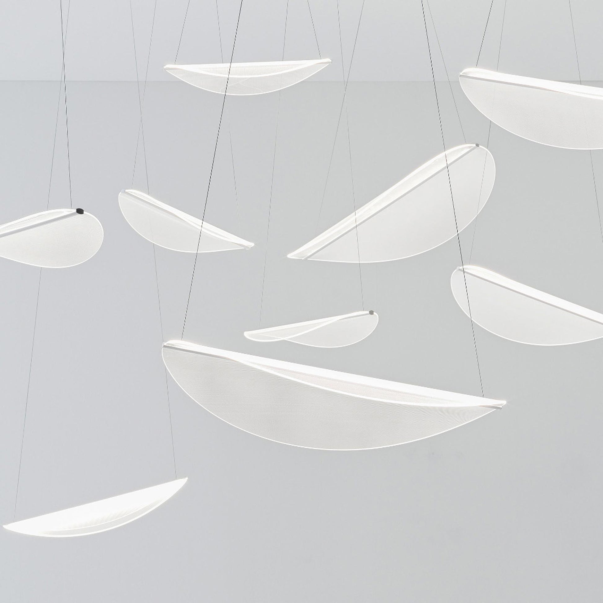 Diphy LED Pendant Light in Detail.