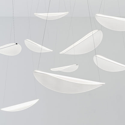 Diphy LED Pendant Light in Detail.