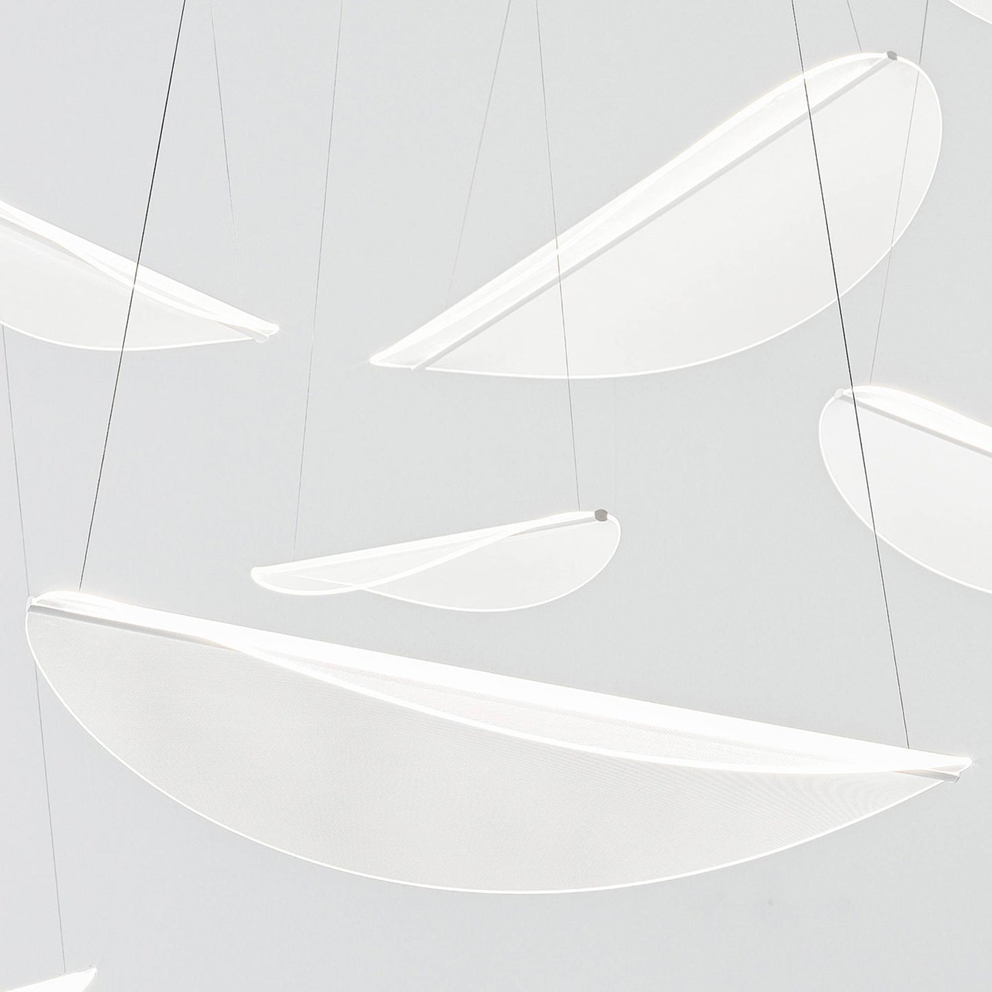 Diphy LED Pendant Light in Detail.