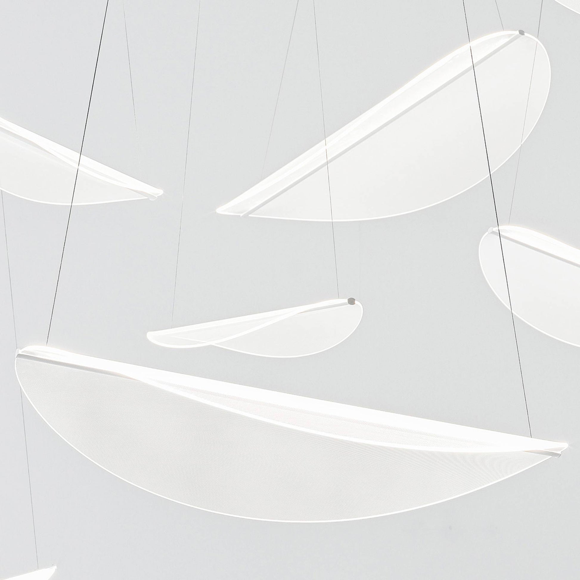 Diphy LED Pendant Light in Detail.