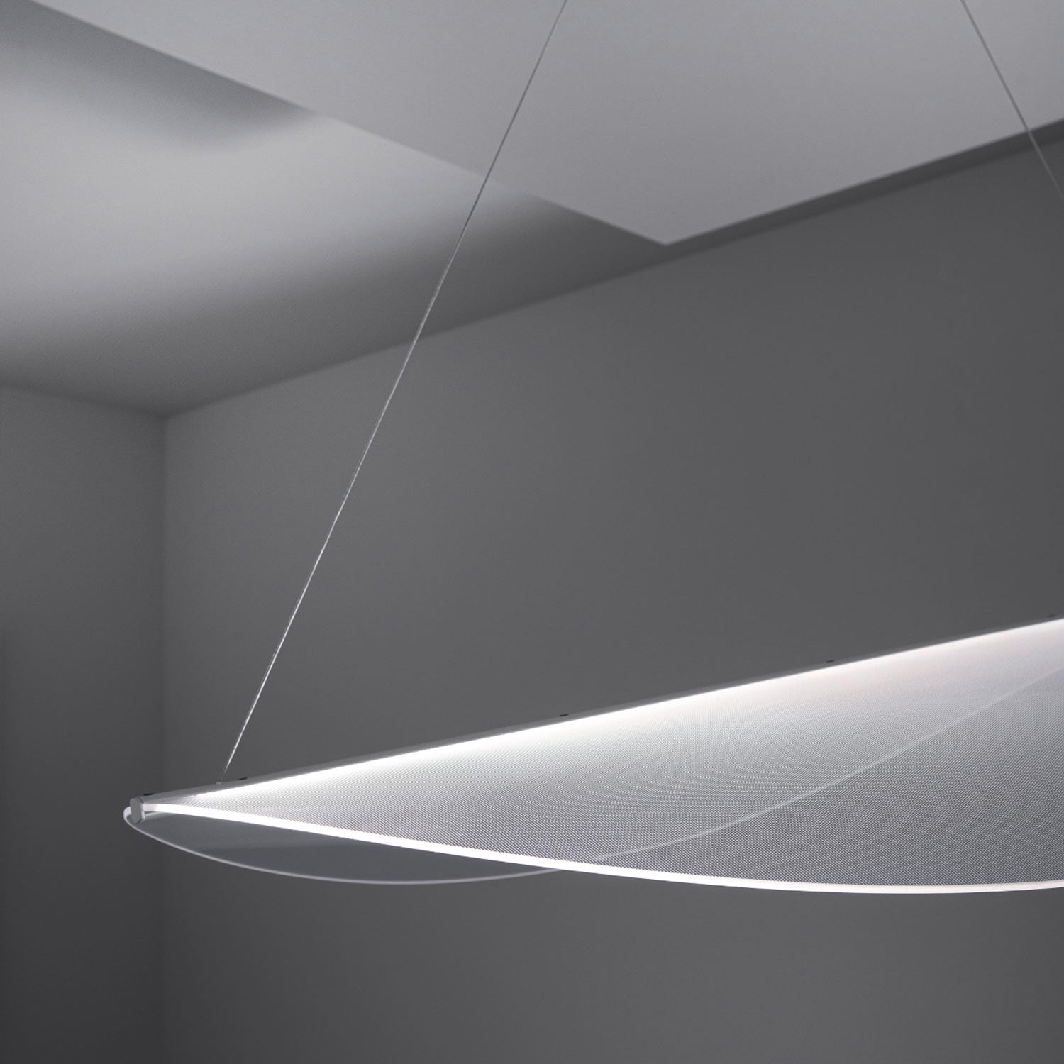 Diphy LED Pendant Light in Detail.