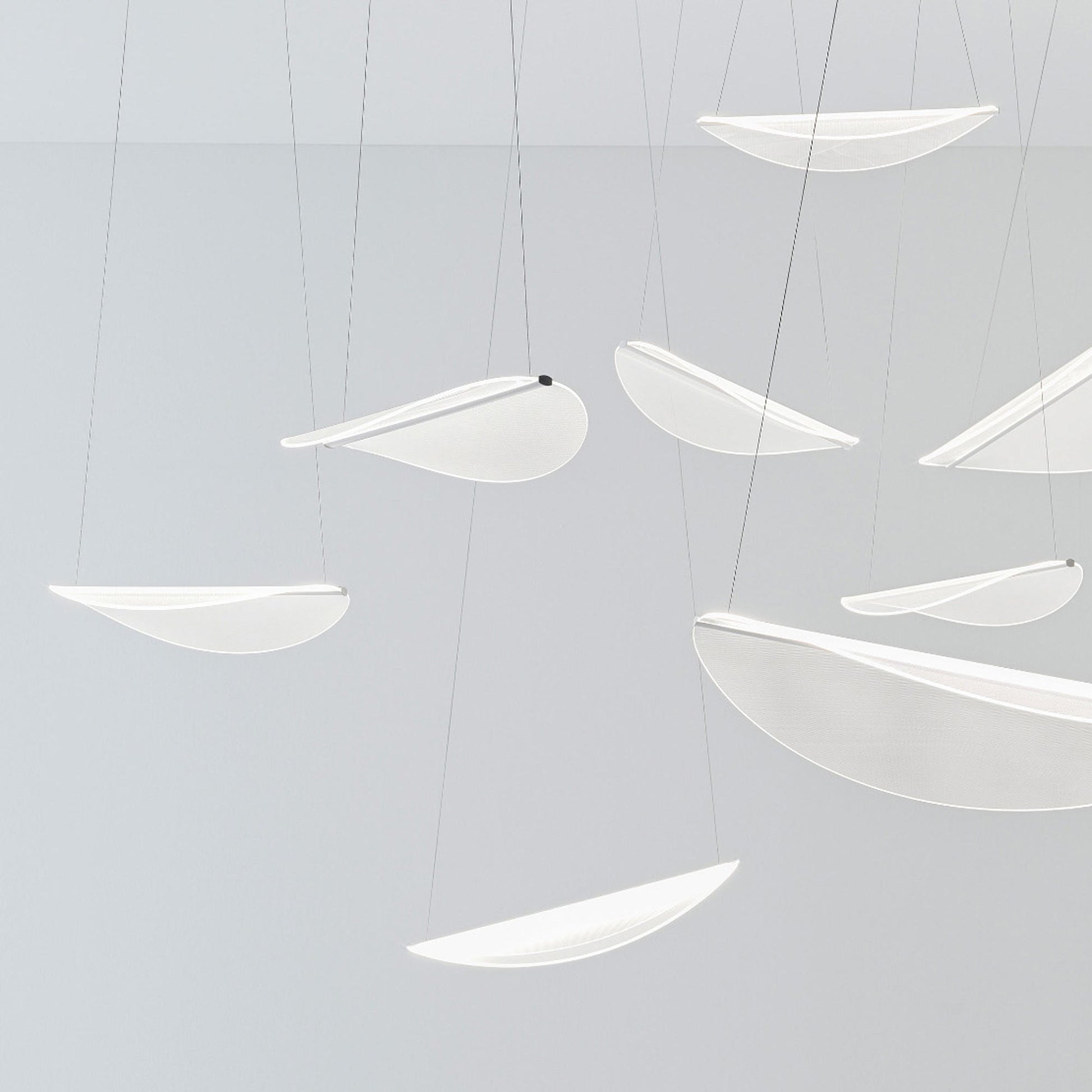 Diphy Multi Light LED Pendant Light in Detail.