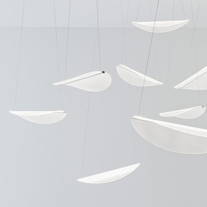 Diphy Multi Light LED Pendant Light in Detail.
