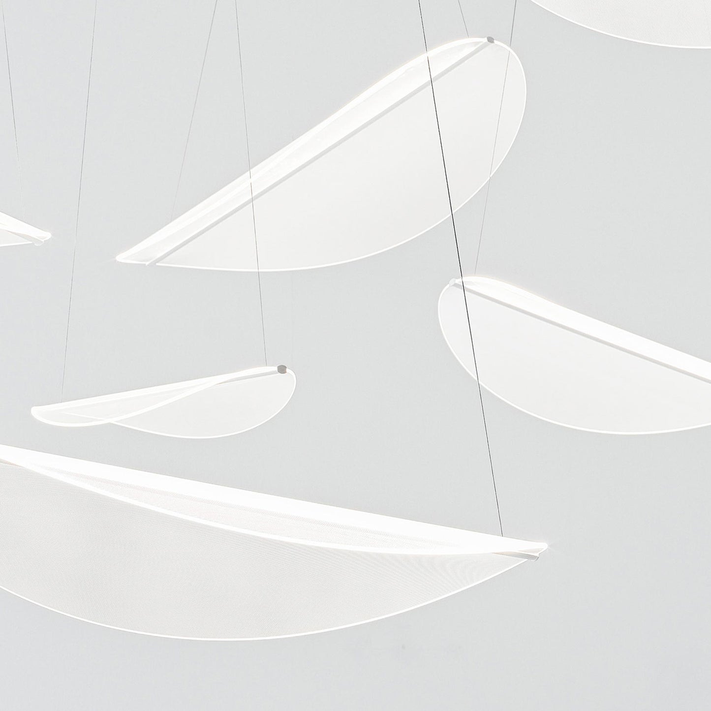 Diphy Multi Light LED Pendant Light in Detail.