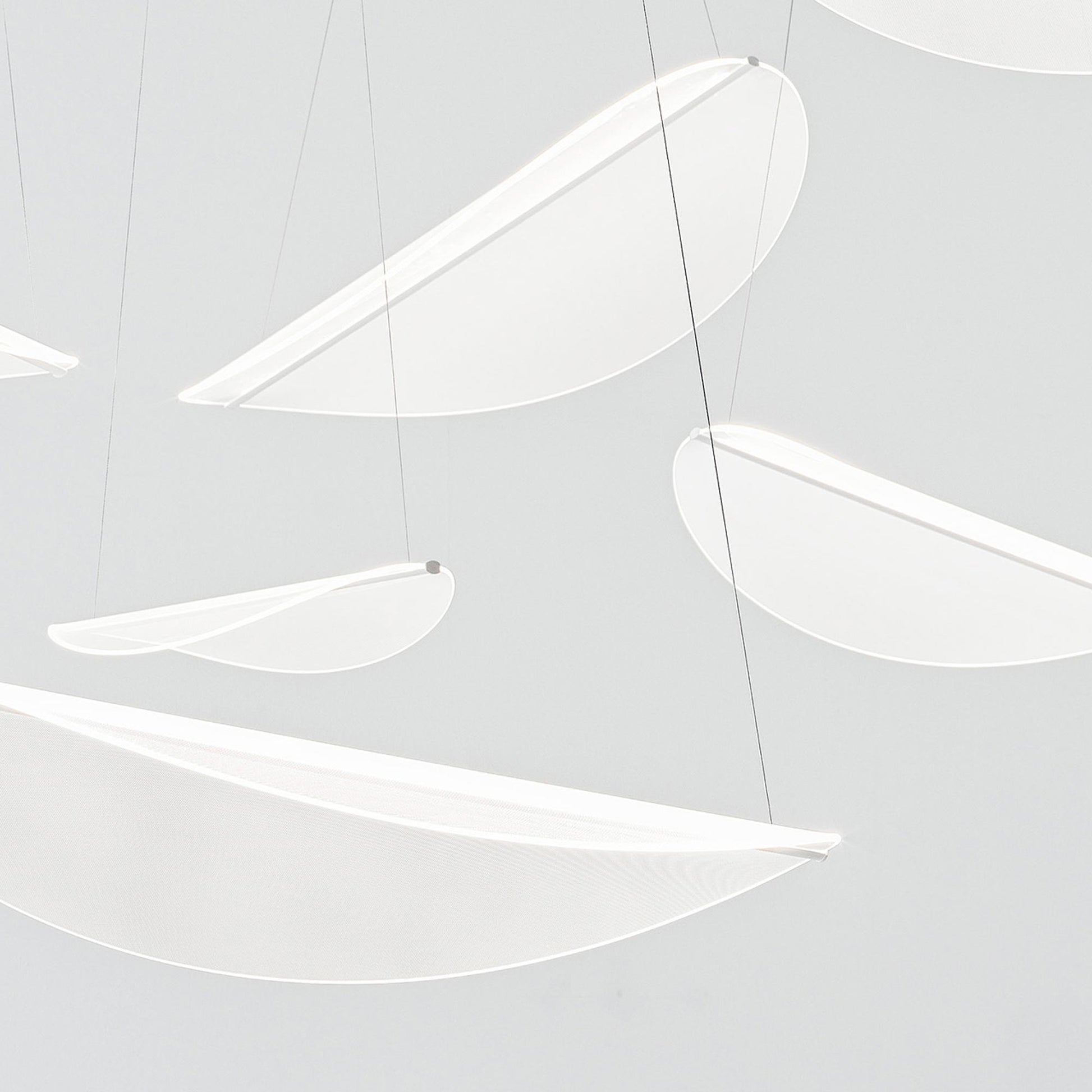 Diphy Multi Light LED Pendant Light in Detail.