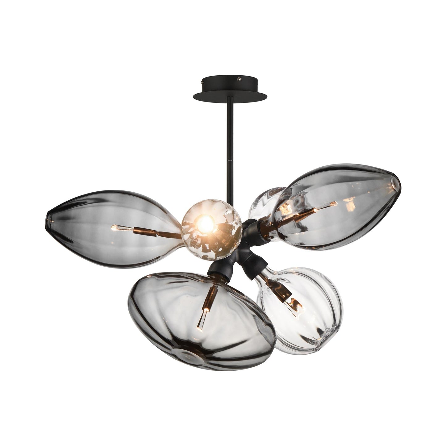Ray Dance Single Cluster LED Pendant Light in Clear.