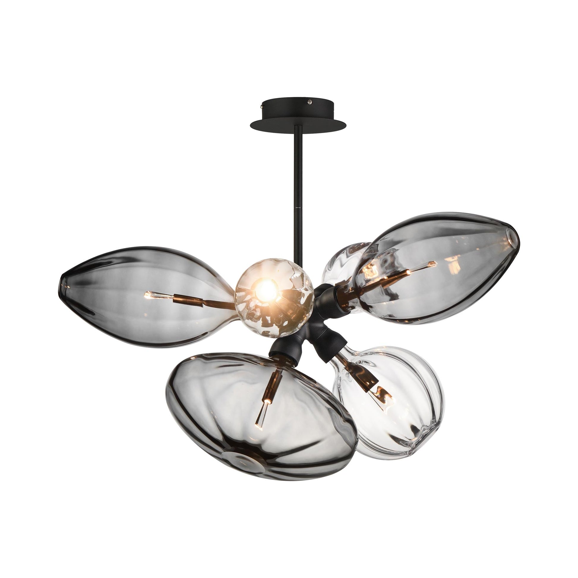 Ray Dance Single Cluster LED Pendant Light in Clear.