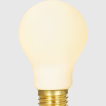 Classic Globe A60 6W 120V E26 LED Bulb in Detail.