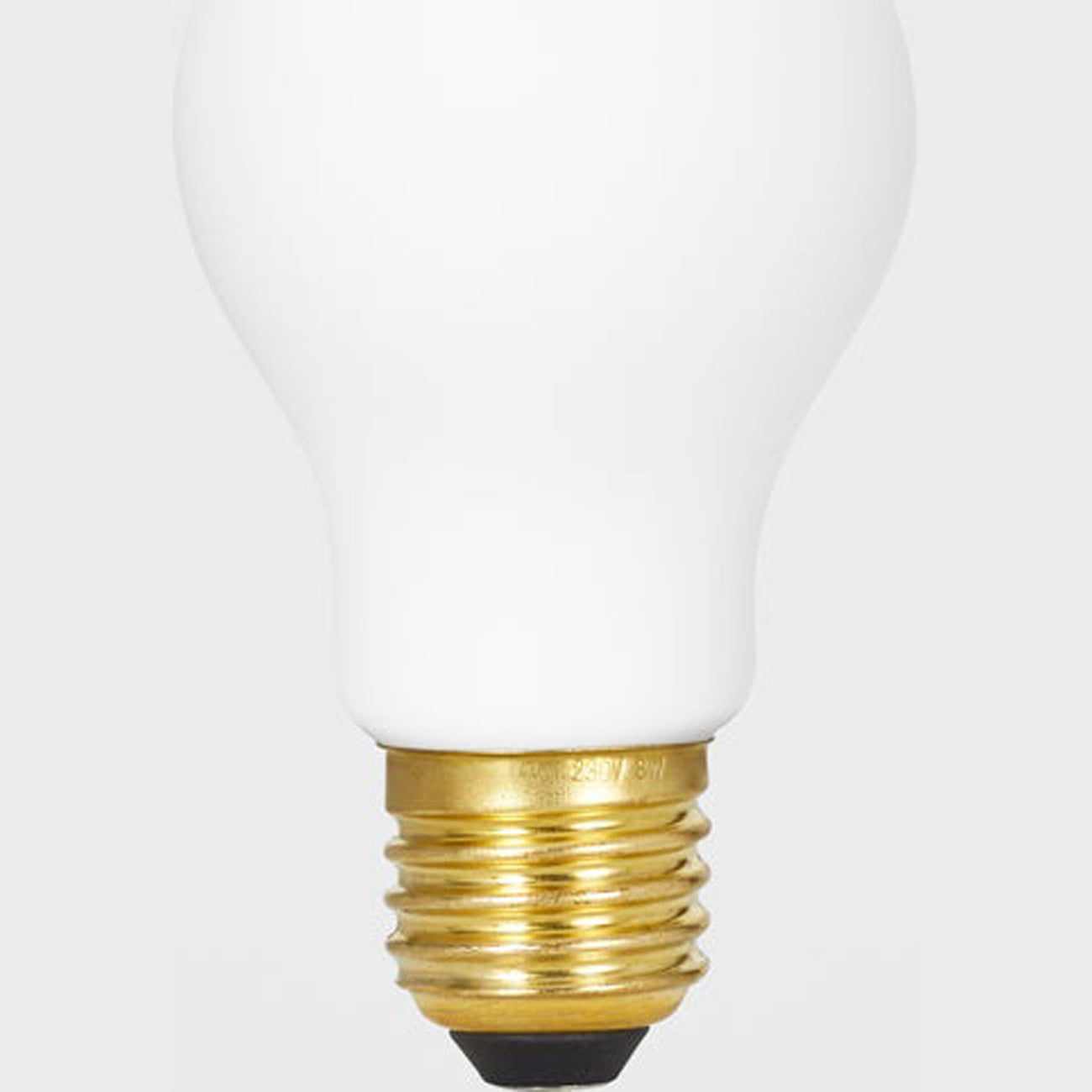 Classic Globe A60 6W 120V E26 LED Bulb in Detail.