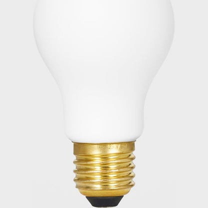 Classic Globe A60 6W 120V E26 LED Bulb in Detail.