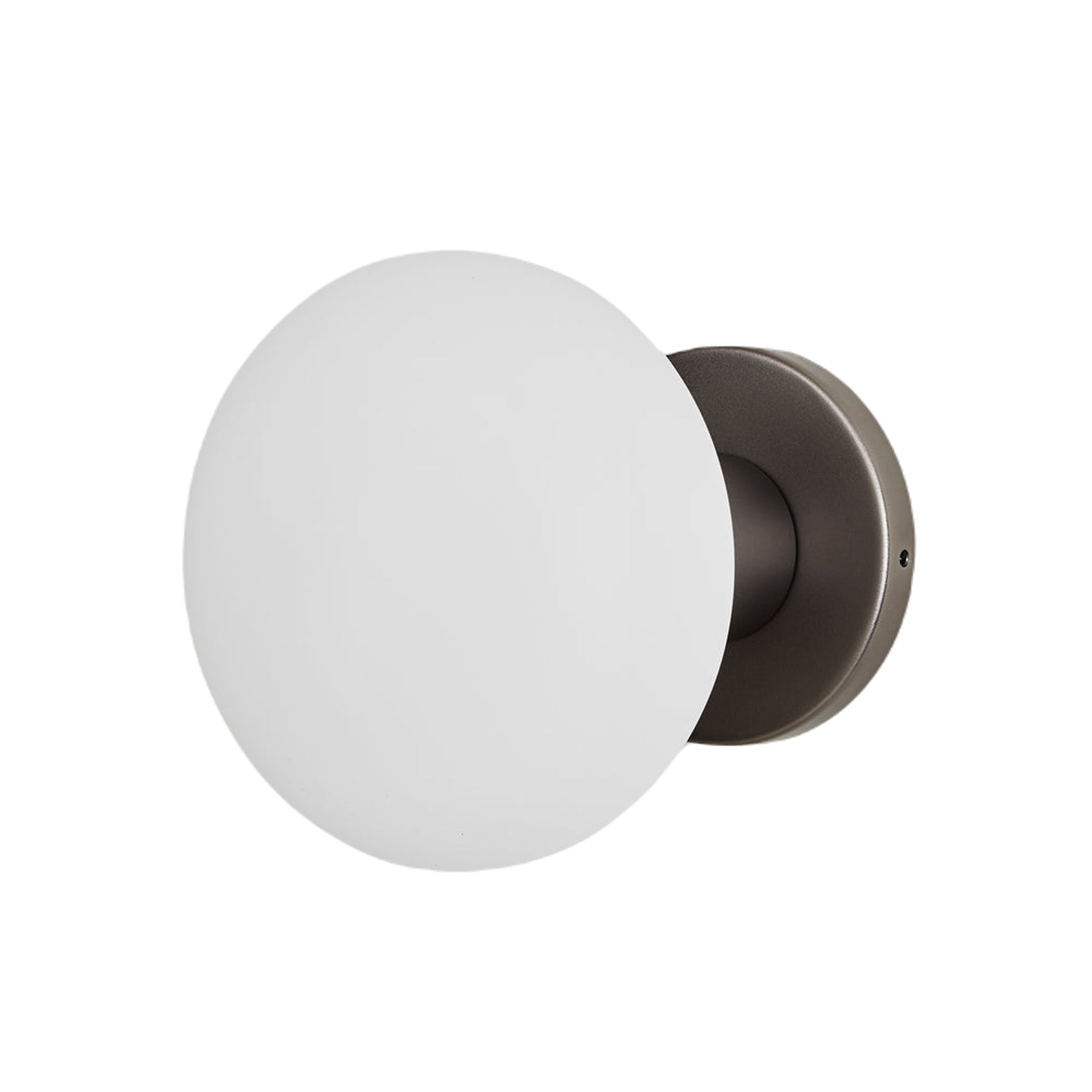 Lochan Oval Outdoor Wall Light in Graphite.