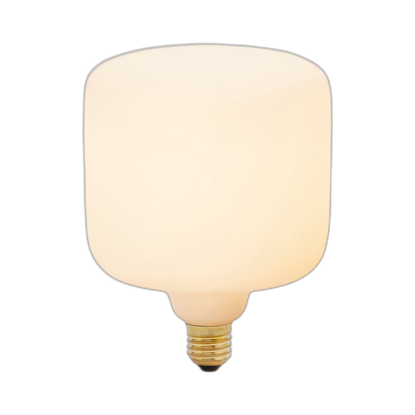 Oblo Medium Base T40 Type LED Bulb.