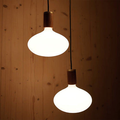 Oval II Medium Base R65 Type LED Bulb in Detail.