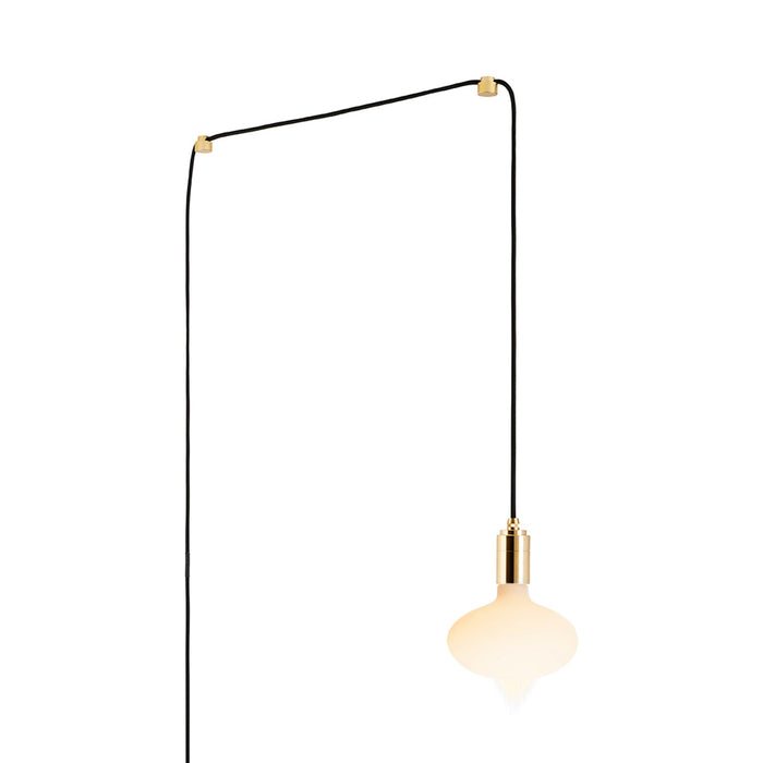 Oval Plug-In Pendant Light in Brass.