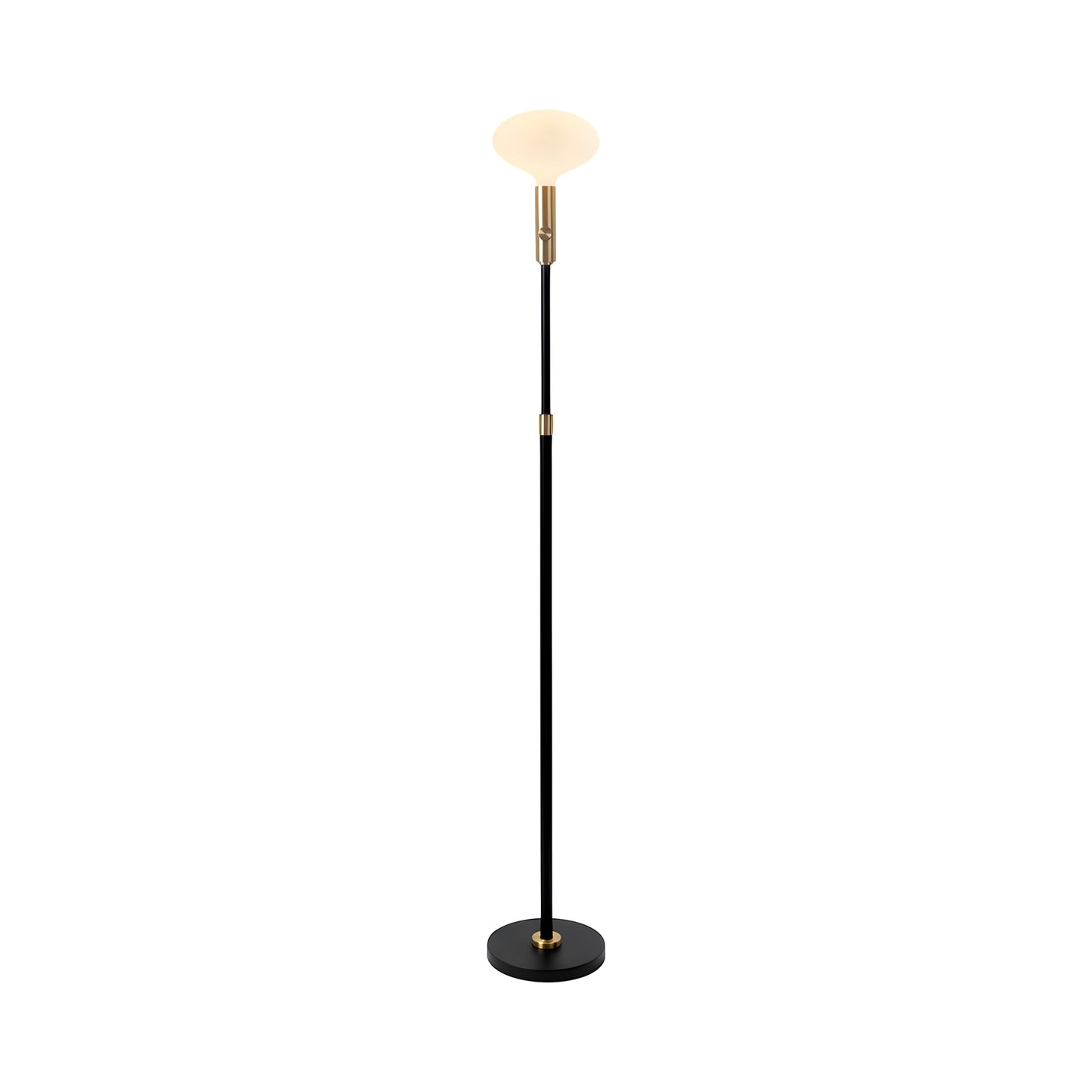 Signature Oval II Floor Lamp in Brass.