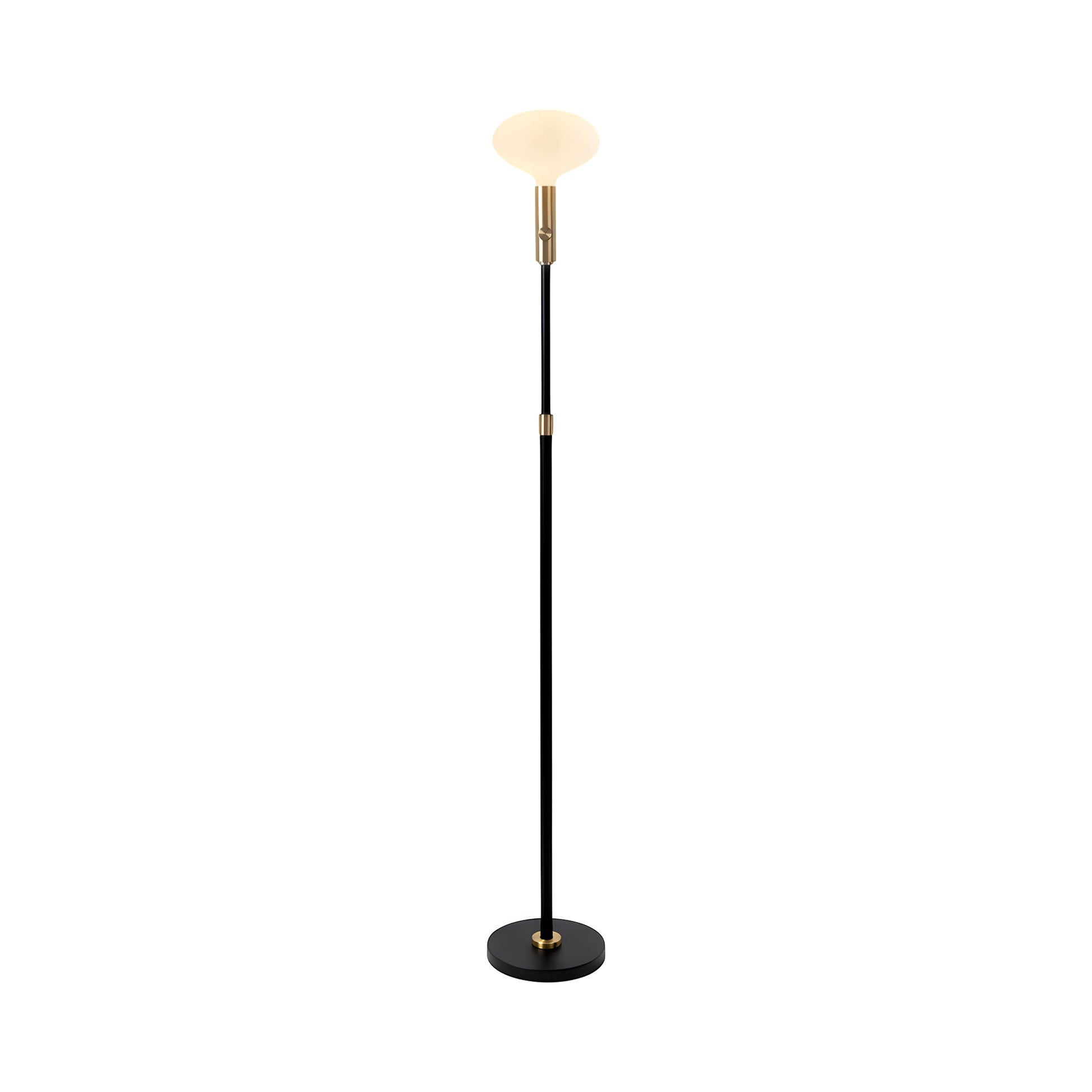 Signature Oval II Floor Lamp in Brass.