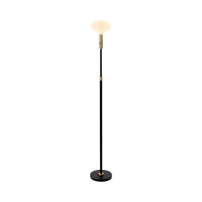 Signature Oval II Floor Lamp in Brass.