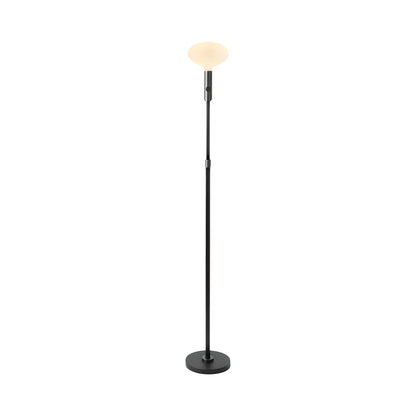 Signature Oval II Floor Lamp.