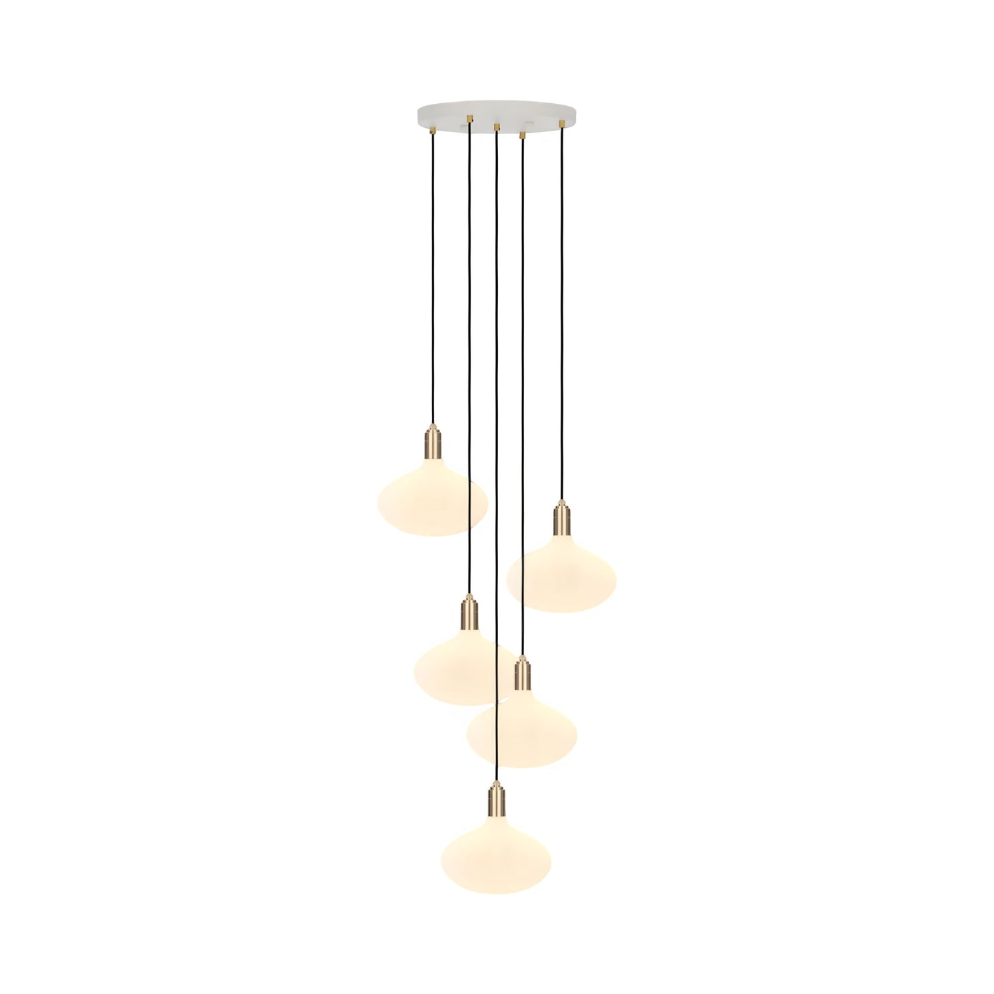 Signature Oval II Multi Light Pendant Light in Brass.
