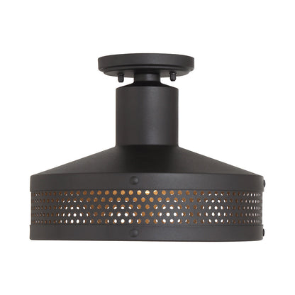 Abalone Point Outdoor Flush Mount Ceiling Light in Detail.