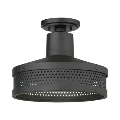 Abalone Point Outdoor Flush Mount Ceiling Light in Detail.