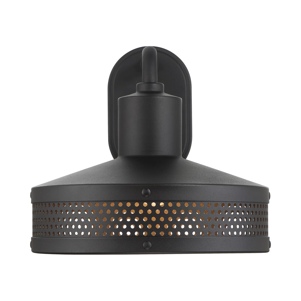 Abalone Point Outdoor Wall Light in Detail.