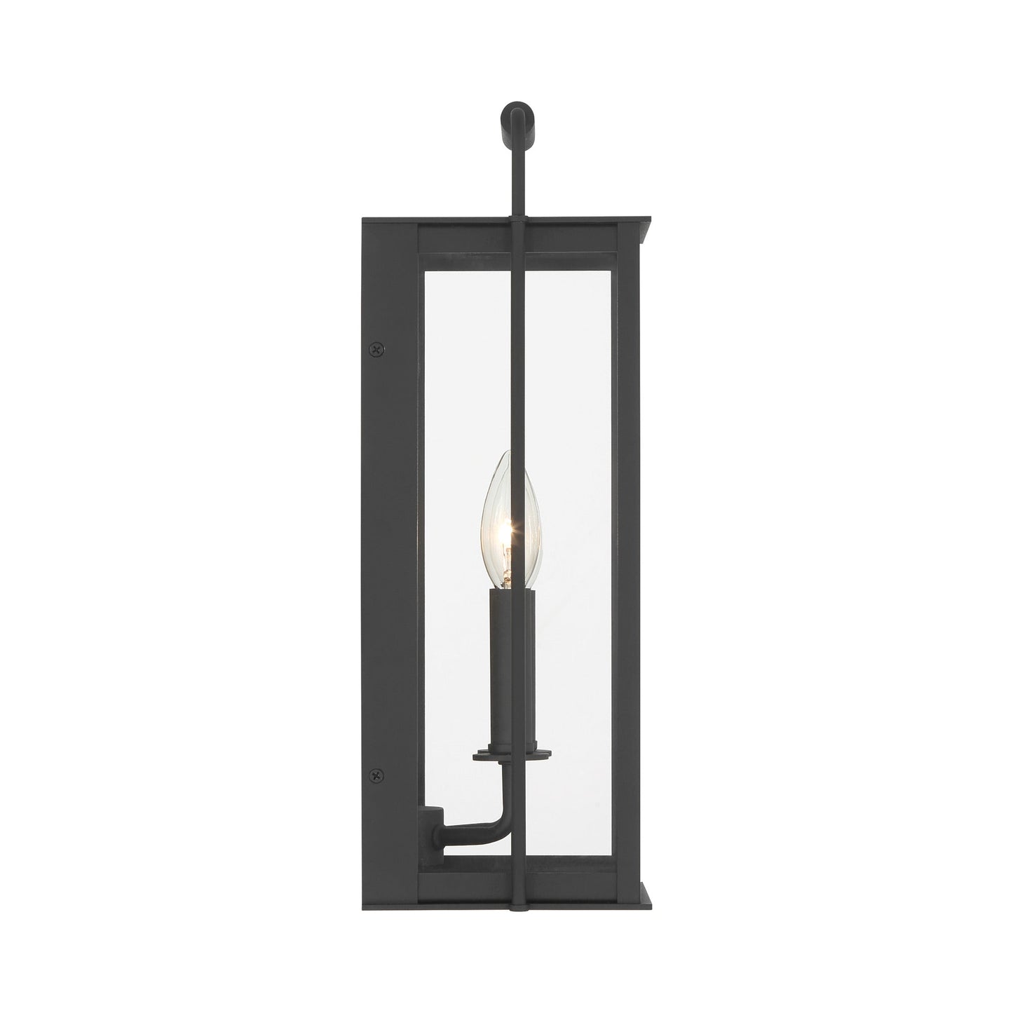 Aberdeen Outdoor Wall Light in Detail.