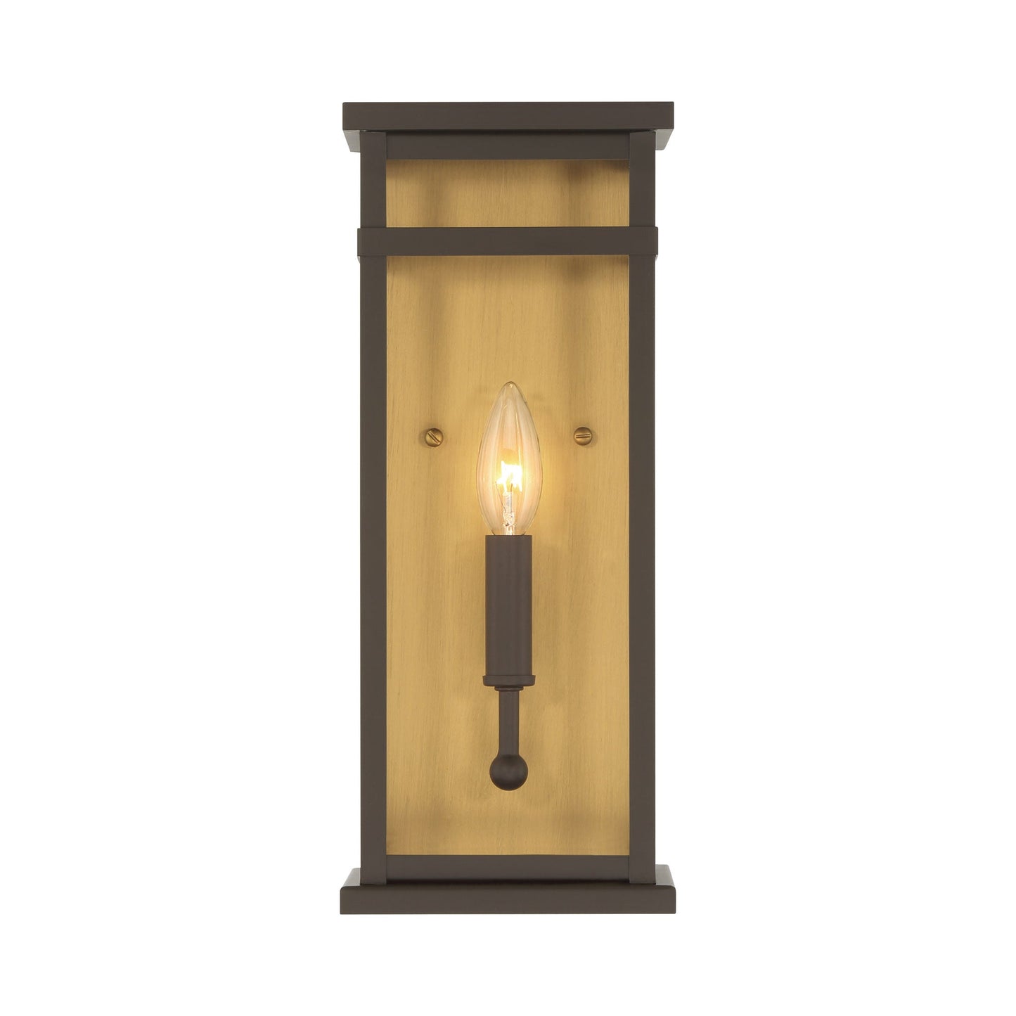Briarlane Outdoor Wall Light.