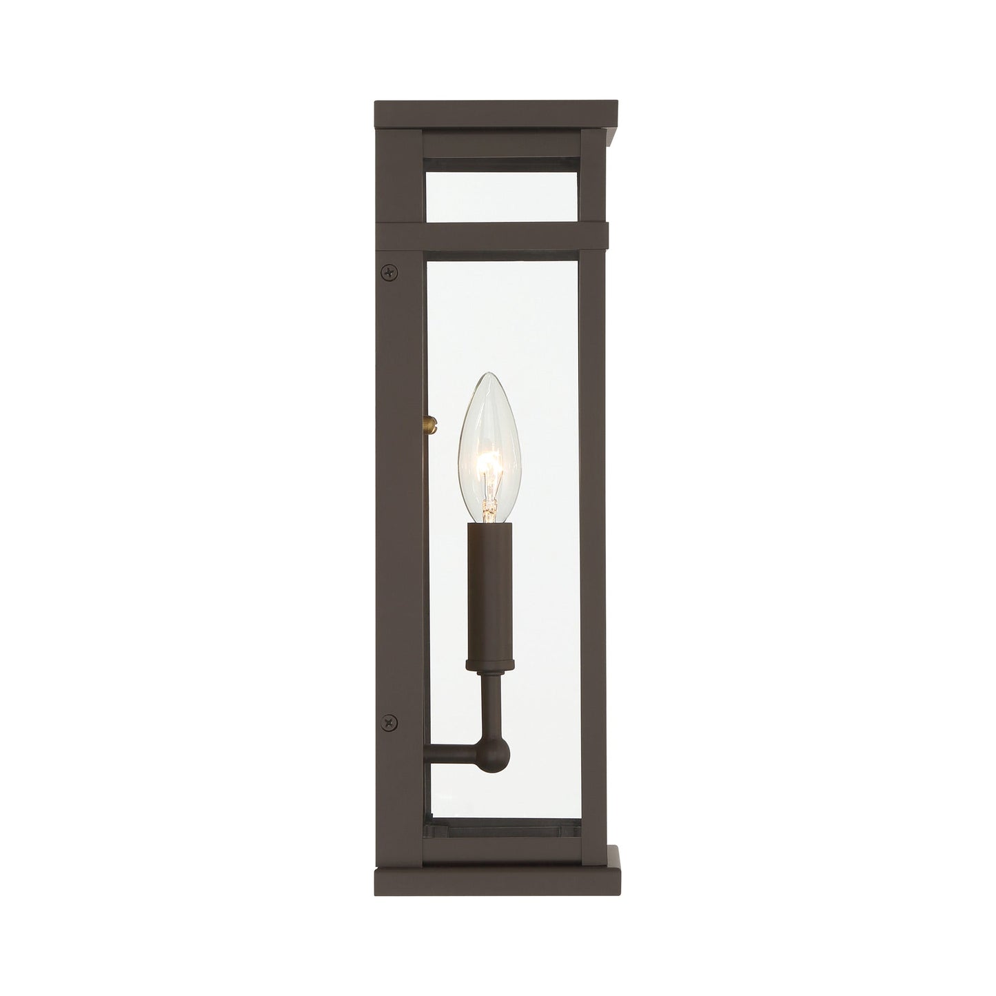 Briarlane Outdoor Wall Light in Detail.