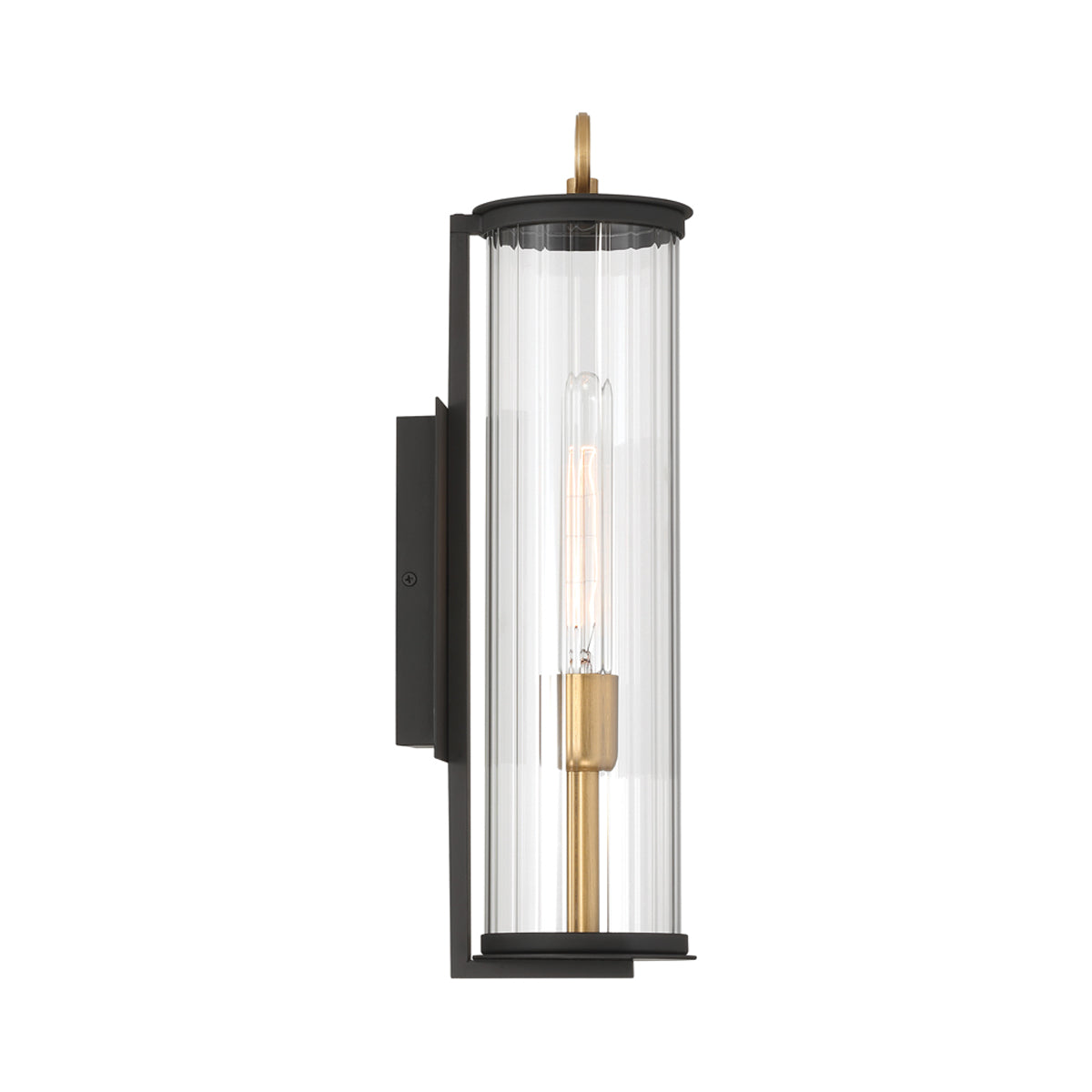 Cara Outdoor Wall Light in Detail.