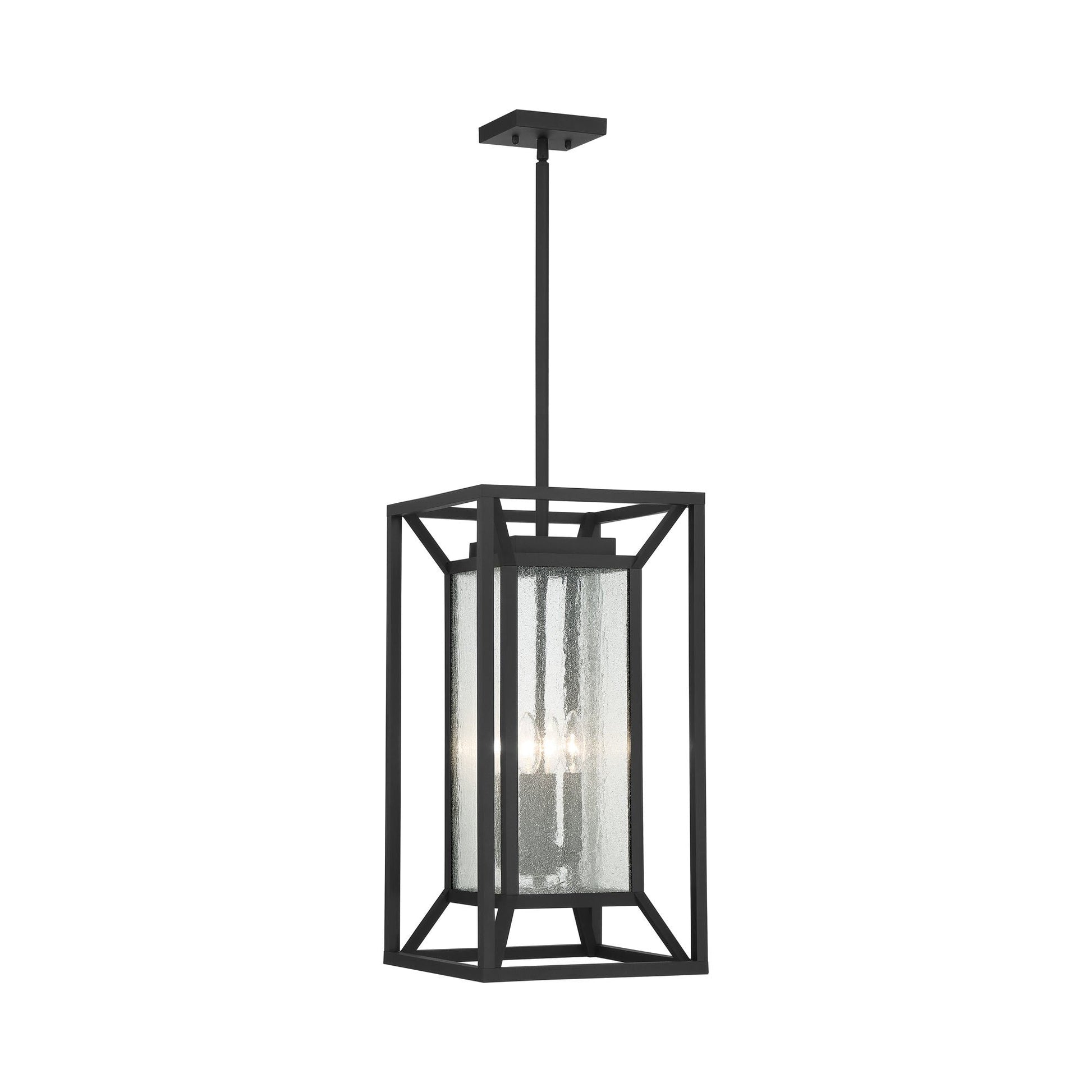 Harbor View Outdoor Pendant Light in Clear Seeded Glass.