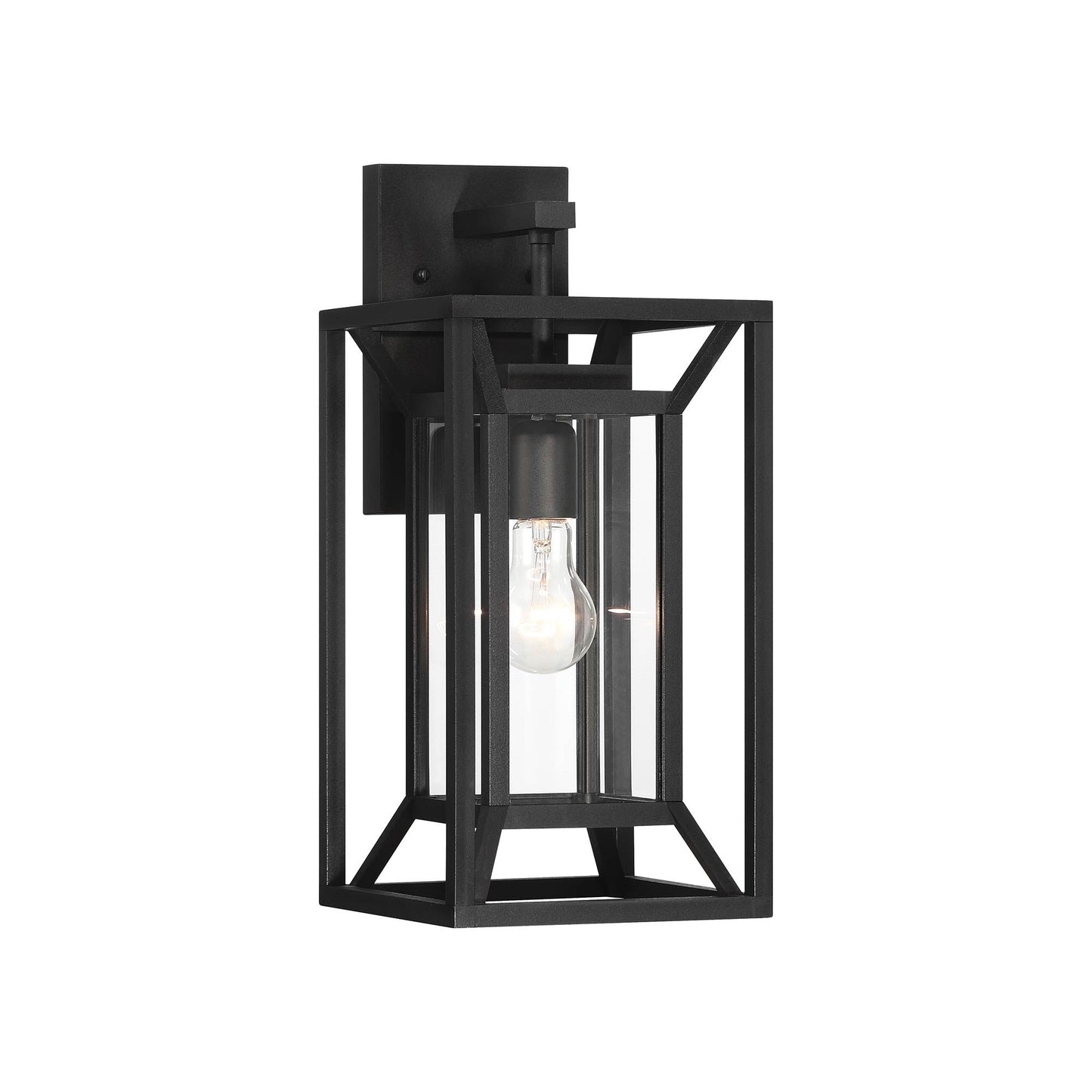 Harbor View Outdoor Wall Light in Clear Glass (16.5-Inch).