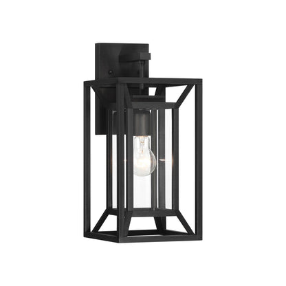 Harbor View Outdoor Wall Light in Clear Glass (16.5-Inch).