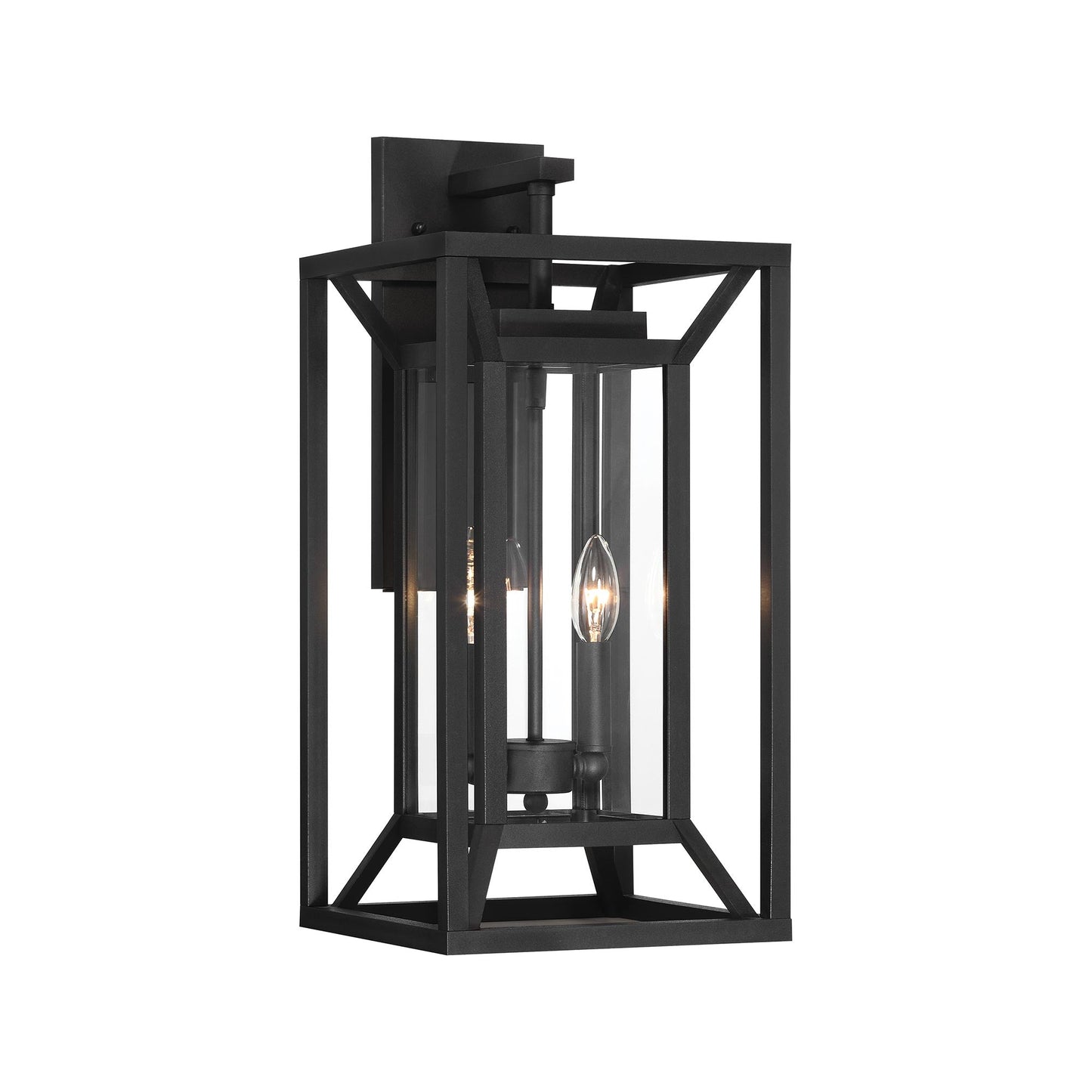 Harbor View Outdoor Wall Light in Clear Glass (21-Inch).