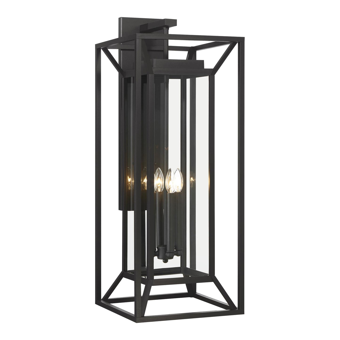 Harbor View Outdoor Wall Light in Clear Glass (35.25-Inch).