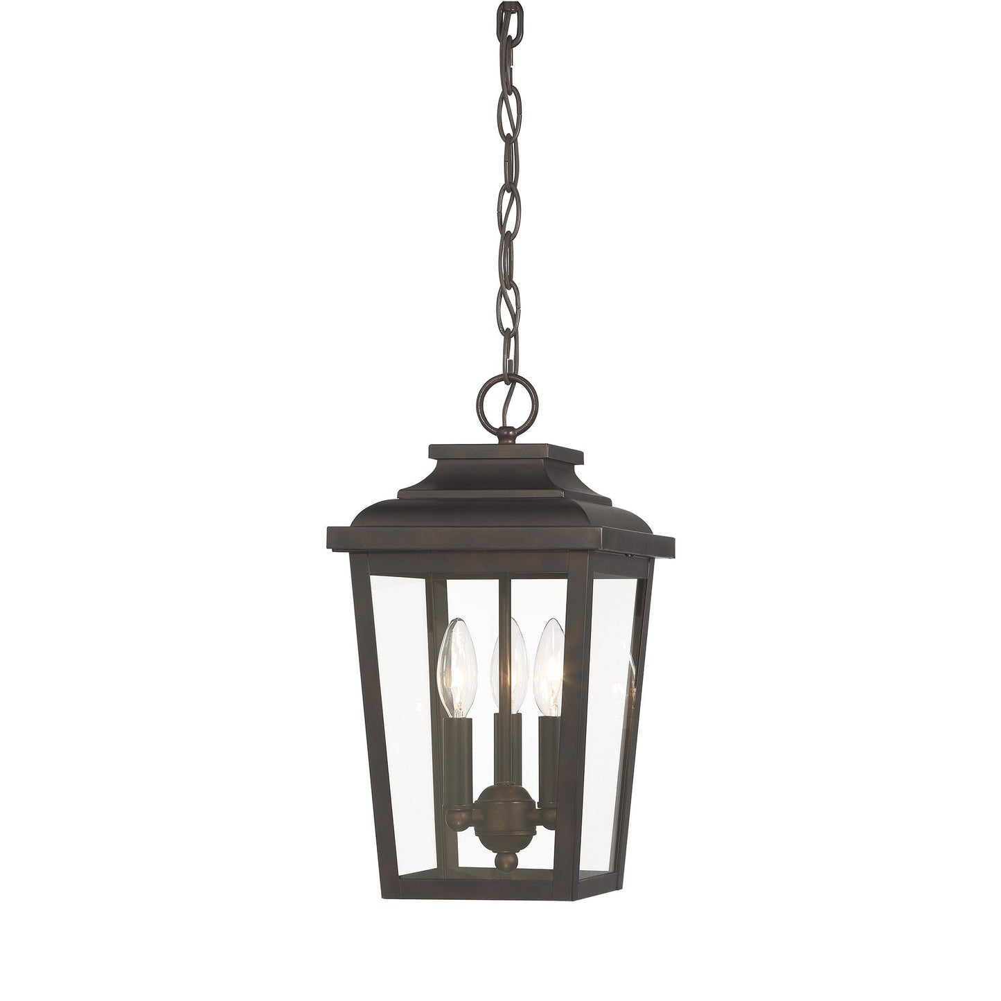 Irvington Manor Outdoor Pendant Light in Clear Glass (Small/Incandescent).