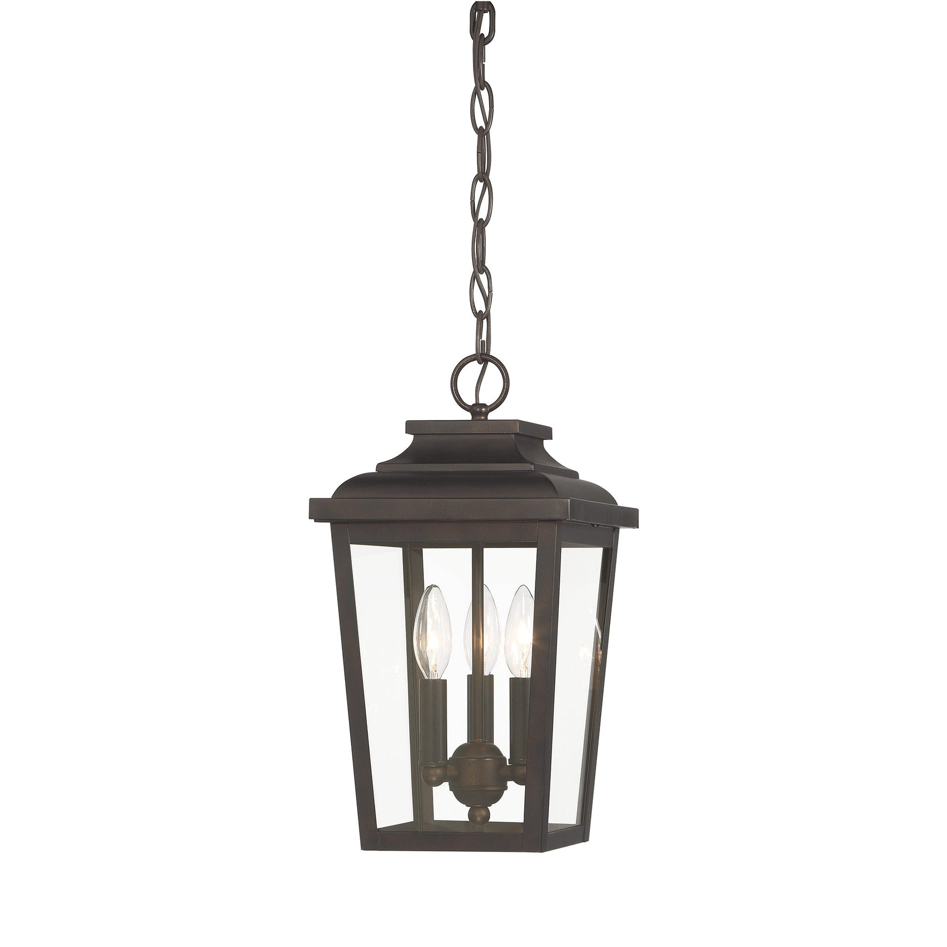 Irvington Manor Outdoor Pendant Light in Clear Glass (Small/Incandescent).