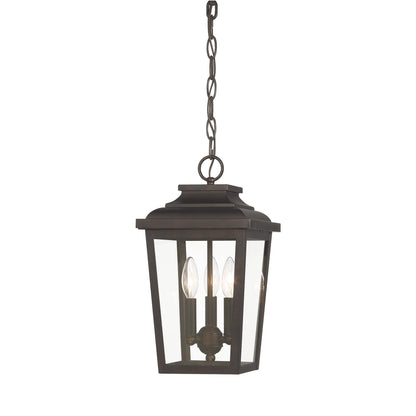 Irvington Manor Outdoor Pendant Light in Clear Glass (Small/Incandescent).