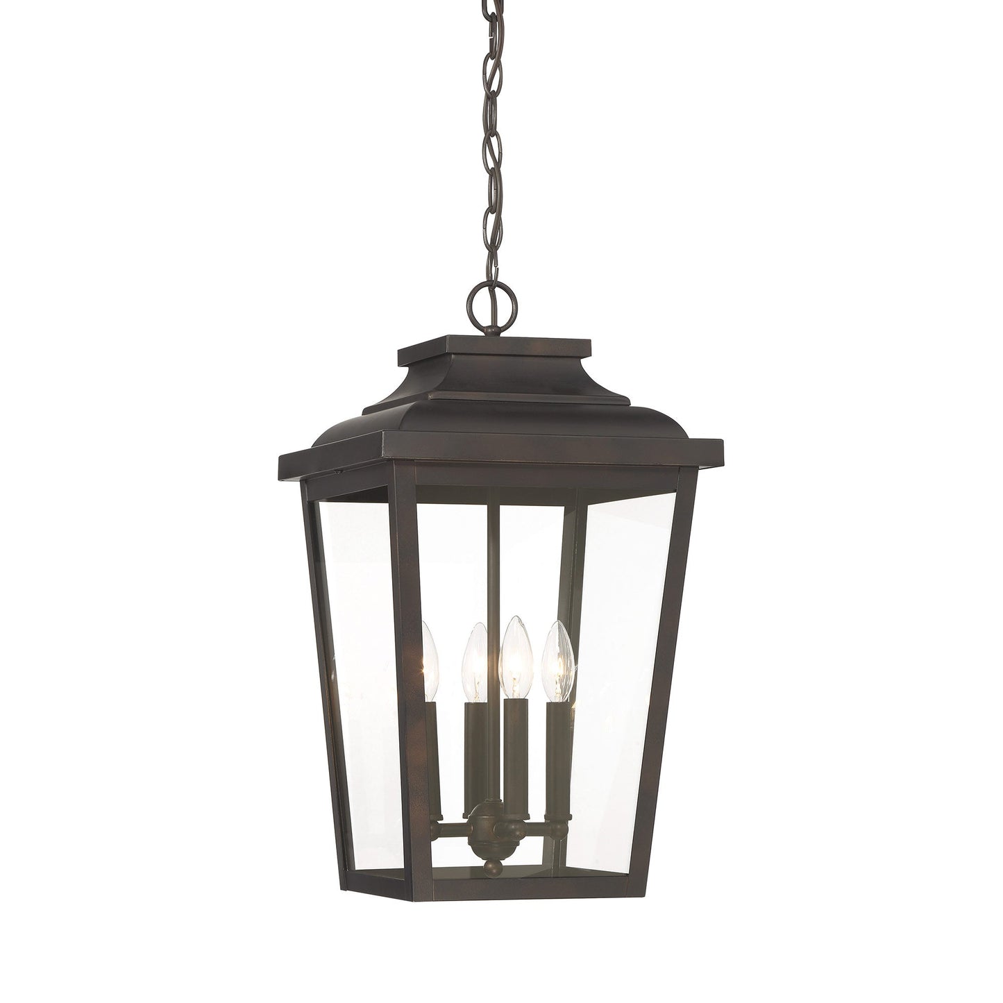 Irvington Manor Outdoor Pendant Light in Clear Glass (Large/Incandescent).