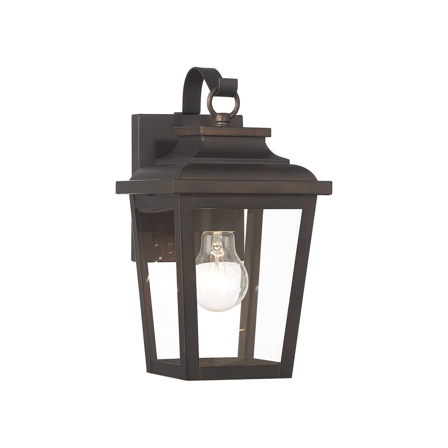 Irvington Manor Outdoor Wall Light in Clear Seeded Glass (Small/Incandescent).