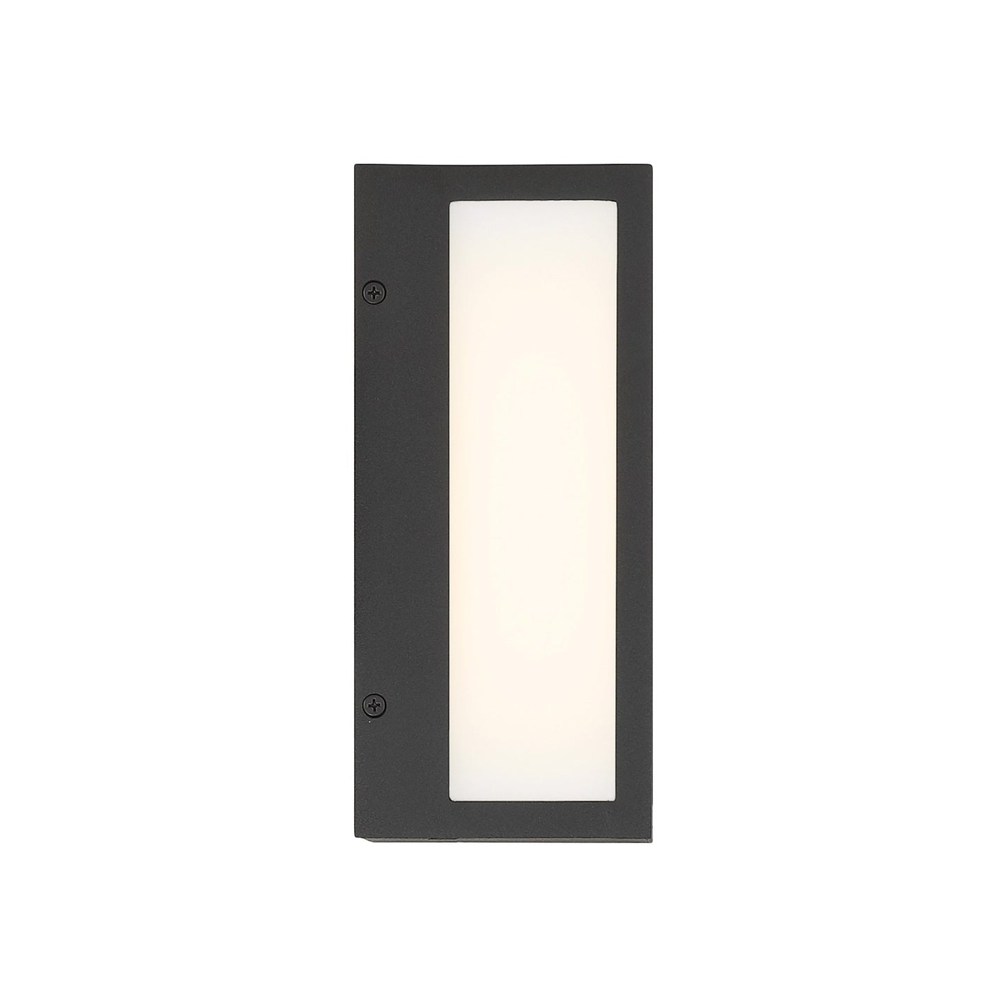 Marlborough Outdoor LED Wall Light in Detail.