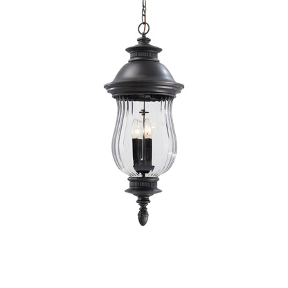 Newport Outdoor Pendant Light.