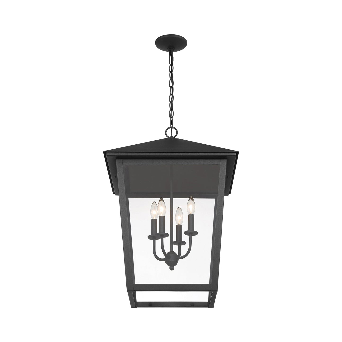 Noble Hill Outdoor Pendant Light.
