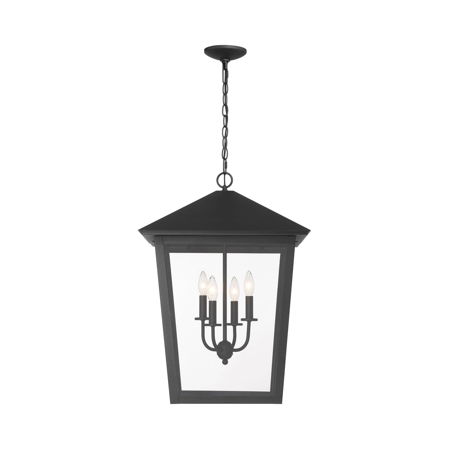 Noble Hill Outdoor Pendant Light in Detail.